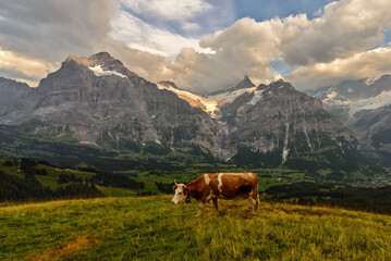 view of the Alps with fog and clouds