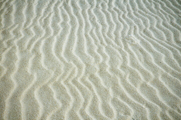 億光年の時間を堪能してます。