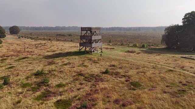 Aerial View of Watchtower in Drents-Friese Wold Nature Reserve, Drenthe, Netherlands