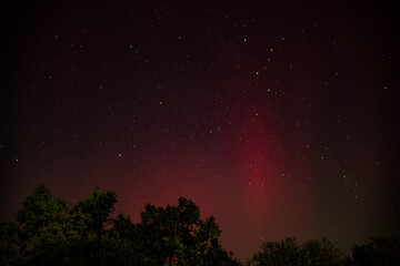 Northern Lights 