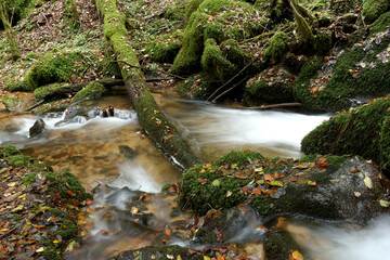 Tranquil Autumn River with Gentle Flow Amidst Fall Foliage
