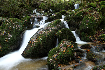 Tranquil Autumn River with Gentle Flow Amidst Fall Foliage