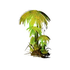Artistic colorful palm tree isolated on white