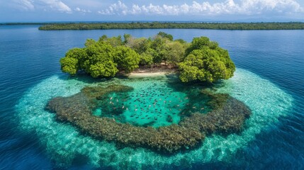 Obraz premium Aerial View of a Small Island with a Clear Lagoon and Fish
