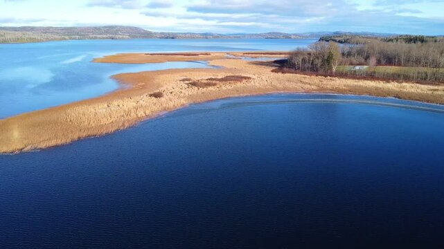 A drone approaches a marshy tip of a partially frozen freshwater lake to fly low over aquatic plants emerging from the thin layer of ice under a cloudy blue sky. Matapedia Lake, Quebec.