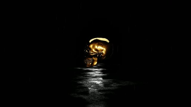 Gold Plated Skull Introduction