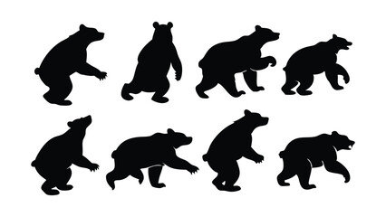 Various type of bear silhouettes set isolated flat vector illustration on white background