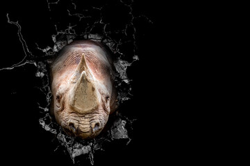 a rhino breaking a hole through a black background