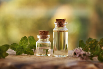 Two bottles of aromatherapy essential oil with blooming peppermint plant outdoors