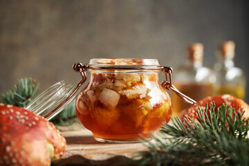 Preparation of herbal tincture from red fly agaric or amanita - alternative ointment for the joints