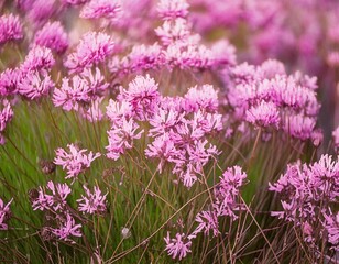 Obraz premium Delicate pink wildflowers are blooming beautifully, generative ai