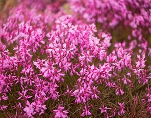 Delicate pink wildflowers are blooming beautifully, generative ai