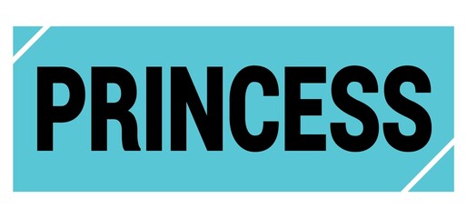 PRINCESS text on blue-black grungy stamp sign.