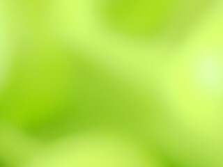 Full color with a blurred background of objects. A fresh blurred background. A bright and colorful background of blurred objects.  Defocused Abstract Background