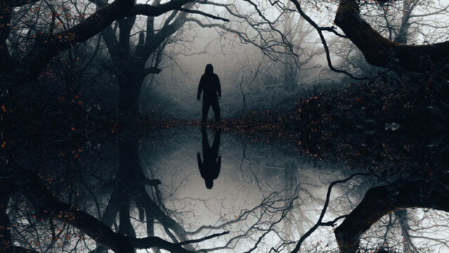 A creepy horror concept. Of a spooky hooded figure. Silhouetted in a mysterious forest on a foggy winters day, reflected upside down.