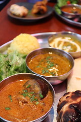 Indian cuisine: curry lunch plate (oyster and eggplant curry, chicken keema curry, dal curry, naan, rice and salad)