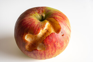 A ripe cooking apple eaten by insects on white background