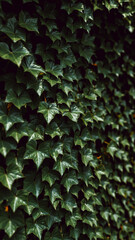 lush wall verdant green leaves