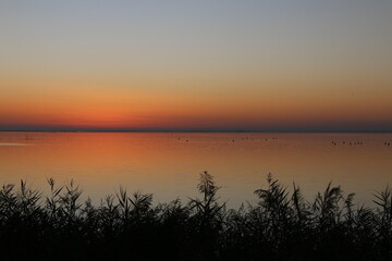 Etang du VACCARES (Camargue)