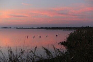 Fototapeta premium Etang du VACCARES (Camargue)