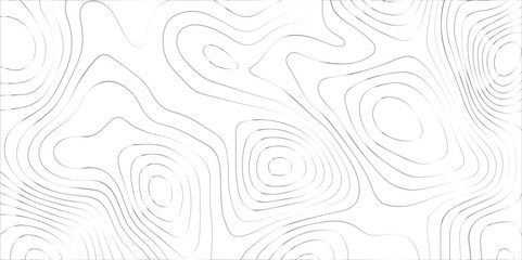 Fototapeta premium Abstract topography background. Topographic contour map subtle. Wavy paper curved reliefs White background. Geographic mountain relief curve lines background. Vector illustration.