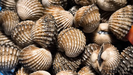 Clams in a restaurant. Seafood.