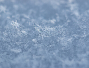 snow and snowflakes as background.