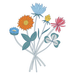 Bright bouquet of different wildflowers. Bunch of different meadow flowers with clover, and blooming wild plants. Botanical hand-drawn elements for design projects. Vector illustration