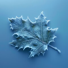 Fototapeta premium Intricate frost patterns adorn a single holly leaf isolated on a frosty blue gradient background