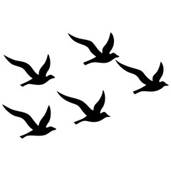 birds flying  in a line