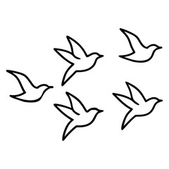 birds flying  in a line