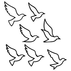 birds flying  in a line