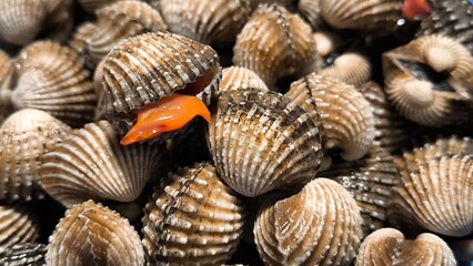 Clams in a restaurant. Seafood.