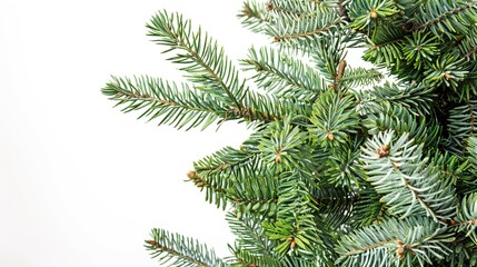 christmas background with christmas branches and decorations