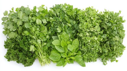 Fototapeta premium Fresh Thai Herbs Neatly Arranged on Cutting Board