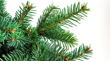 Obraz premium christmas background with christmas branches and decorations