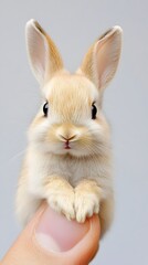 Obraz premium Cute Miniature Baby Rabbit on Palm and Fingertip, Photo Realistic, Texture, Pattern Background, Wallpaper, Cover and Screen for Smartphone, PC, Laptop, 9:16 and 16:9 Format