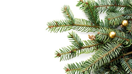 christmas background with christmas branches and decorations