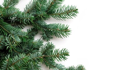 christmas background with christmas branches and decorations