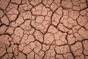 The red soil is cracked and cracked from drought and pollution.