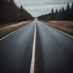 Fototapeta premium A long, empty road stretches ahead, bordered by tall trees on one side and open fields on the other. The sky is overcast, giving a moody atmosphere to the journey ahead. Generative AI