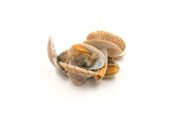 Clams on white background, natural seafood