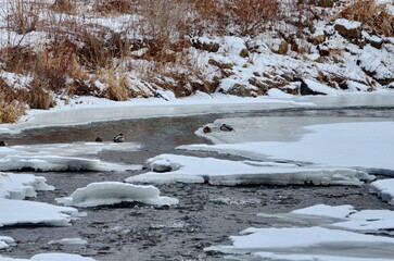 Rouge River in winter in Markham, Ontario, Canada