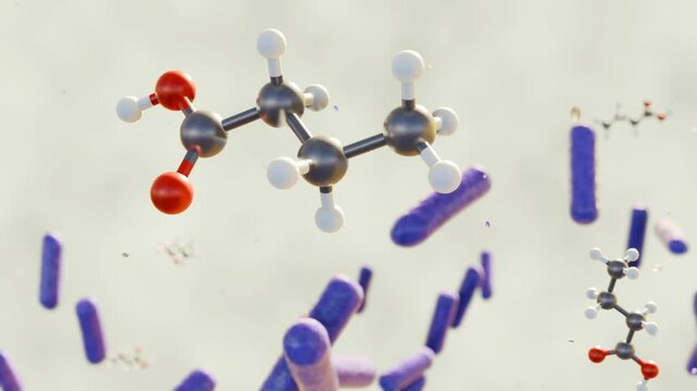 3d animation of butyric acid molecules and bacterium cells, it is a valuable metabolite produced by gut bacteria that contributes to intestinal health and overall well-being.