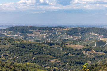 Naklejka premium View of the Langhe-Roero hills and vineyards in Piedmont with the Alps in the background. Italy