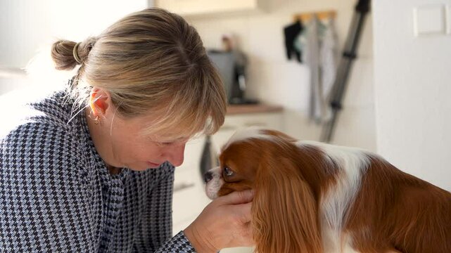 Closeup portrait of woman with her cavalier king charles spaniel breed dog at home. Woman and cocker spaniel looking into each others eyes. Best friends concept, favorite pets