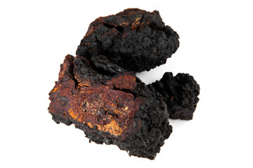 Chaga Mushroom with Pieces isolated - Natural Minerals
