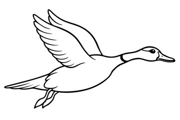 illustration of a duck fly