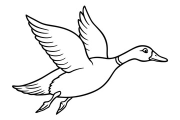 illustration of a duck fly