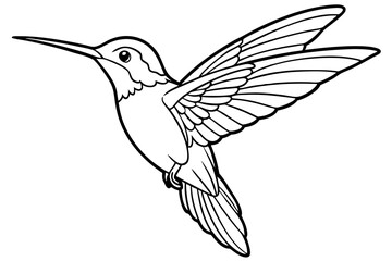 hummingbird in flight
